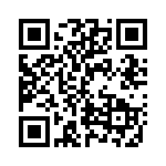 GEV28033 QRCode