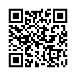 H101132V205NQ QRCode