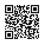 H30700800000G QRCode