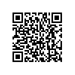 HCM493579545BBJT QRCode