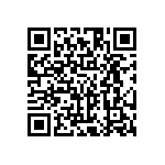 HE30800T1304PB7M QRCode