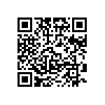 HE30806T2135PB6M QRCode