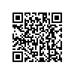 HE30807T2321PA6M QRCode