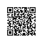 HE30807T2561PA6M QRCode