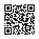 HKQ0603W2N4S-T QRCode