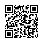 HS243100 QRCode