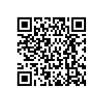 IHLP4040DZER100M51 QRCode