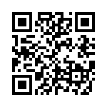 KE383151A000G QRCode