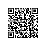 L135-30800CHV00001 QRCode