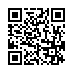 L17DM537411 QRCode