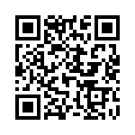 L17DM53742 QRCode