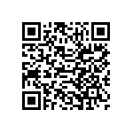 L17DM53745218C309 QRCode