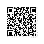 L17DM537457C309 QRCode