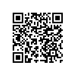 LFG480301PQDINR QRCode