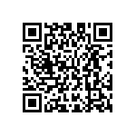 M55342E02B2B00RT5 QRCode