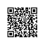 M55342E02B3B01PWS QRCode