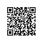 M55342E06B1B62RTP QRCode