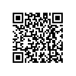 M55342H04B1B10RWS QRCode