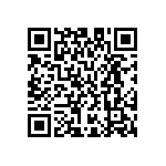 M55342H04B2B13RWS QRCode