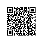 M55342H04B34B0RWS QRCode