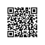 M55342H04B42B2RT5 QRCode