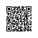 M55342K02B104ARWS QRCode