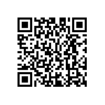 M55342K02B11B5RWS QRCode