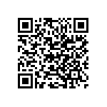 M55342K02B13B3RT5 QRCode