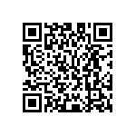 M55342K02B402APWS QRCode