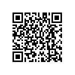 M55342K02B4E99RT5V QRCode