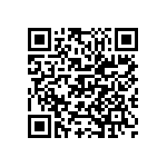 M55342K03B10B2RWS QRCode