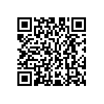 M55342K03B21B5RWS QRCode