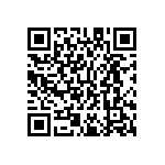 M55342K03B51K0RT0V QRCode