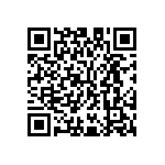 M55342K03B61B9RT5 QRCode