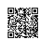 M55342K06B100DPT1V QRCode