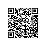 MKP385411040JD02G0 QRCode