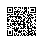 MKP385611025JPP2T0 QRCode