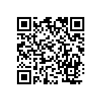 MP4-1B-1B-1D-1D-IIN-00 QRCode