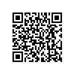 MP4-2L-1Q-NNE-00 QRCode