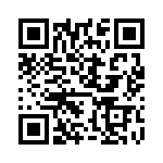 NSZ5V6V2T1G QRCode