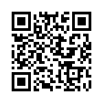 OQ13A0800000G QRCode