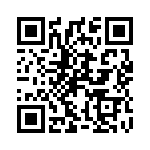 P0300EB QRCode