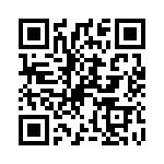 P2941 QRCode