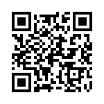 P295BL252M500A QRCode