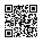 P31-E1006-1 QRCode