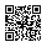 P4KE11-E3-54 QRCode