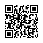 P4KE12C QRCode