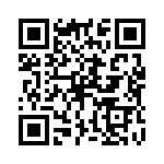 P4KE13 QRCode