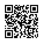 P4KE130C-B QRCode