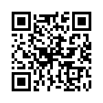 P4KE13HE3-54 QRCode